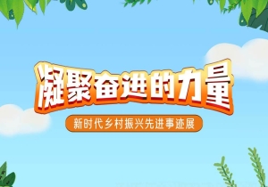 “五·一”劳动节 ▏凝聚奋进的力量——新时代乡村振兴先进事迹展