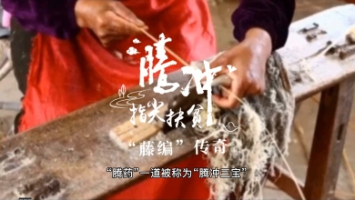 藤编
