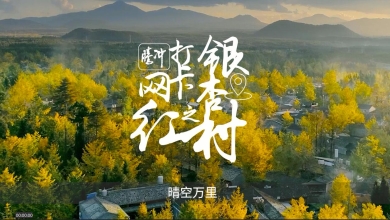 云南腾冲银杏村